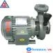 Máy bơm ly tâm dạng xoáy đầu gang NTP TECO HVP365-13.7 205 5HP