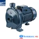 Máy bơm ly tâm trục ngang đầu gang Ebara CMA 0.50M 0.5HP