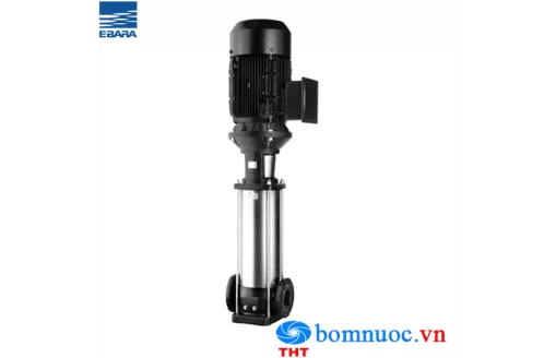 Máy bơm trục đứng Ebara EVMSG5 17F5 Q1BEG E/4.0 5.5HP