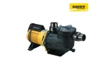 Máy Bơm Hồ Bơi Davey PM