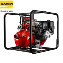 Máy bơm chữa cháy Davey 5190HRS2