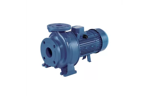 Máy bơm ly tâm trục ngang đầu gang Ebara 3D 40-200/11 15HP