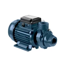 Máy bơm ly tâm trục ngang đầu gang Ebara PRA 100M 1HP