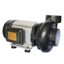 Máy bơm lưu lượng Maro LD - 750 1HP