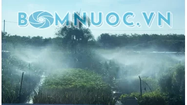 Giá máy bơm tưới béc 2HP (1,5KW) bao nhiêu? Nên chọn hãng nào bền giá rẻ?