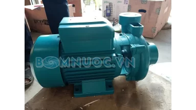 Máy bơm tưới tiêu 1HP (750W) giá bao nhiêu Top bơm tưới bán chạy 2025