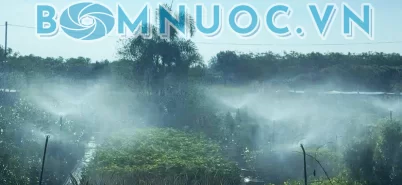 Giá máy bơm tưới béc 2HP (1,5KW) bao nhiêu? Nên chọn hãng nào bền giá rẻ?