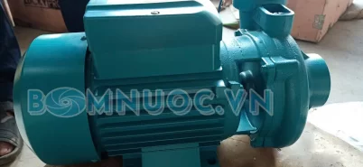 Máy bơm tưới tiêu 1HP (750W) giá bao nhiêu Top bơm tưới bán chạy 2025