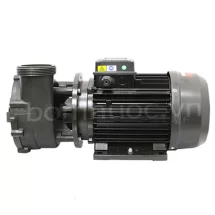 Máy bơm hồ bơi Ewala WP 200IT 2HP