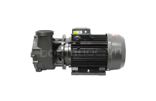 Máy bơm hồ bơi Ewara WP 250I 2.5HP