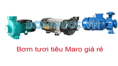 Nên chọn máy bơm chìm hay bơm cạn mùa hè So sánh chi tiết cho từng nhu cầu