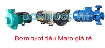 Nên chọn máy bơm chìm hay bơm cạn mùa hè So sánh chi tiết cho từng nhu cầu