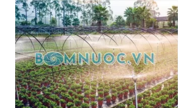 Hệ thống bơm tưới tự động cho vườn – Đầu tư 1 lần, dùng lâu dài mùa khô