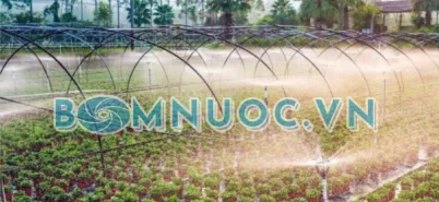 Hệ thống bơm tưới tự động cho vườn – Đầu tư 1 lần, dùng lâu dài mùa khô